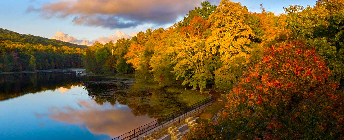 fall tree color on a lake